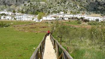 White Villages & Ronda Full Day Tour from Seville