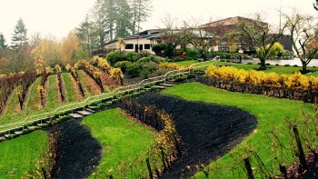 Willamette Valley Wine Tasting Tour from Portland