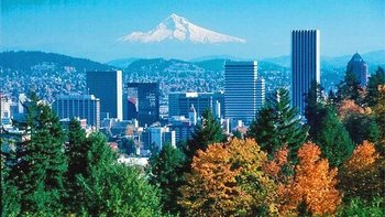 Top City Sights Tour