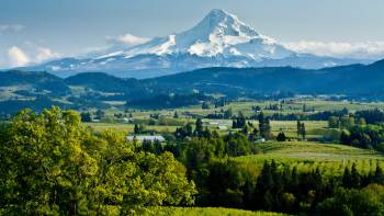 Full-Day Mount Hood & Multnomah Falls Tour