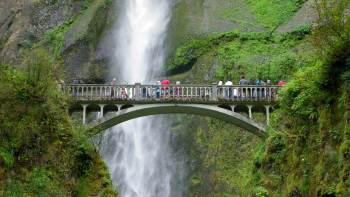 Full-Day Waterfalls & Wine Tasting Tour in the Columbia River Gorge