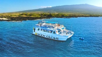 Snorkel & Dolphin Adventure