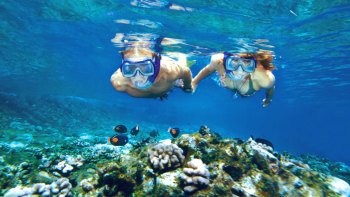 Lanai Snorkeling & Dolphin Sighting