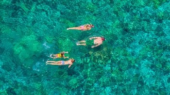 Afternoon Snorkel Cruise to Kealakekua Bay State Park