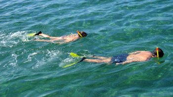 Hanauma Bay Snorkeling Adventure