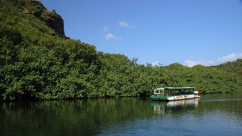 Fern Grotto Cruise