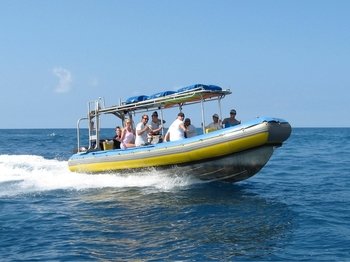 Expedition South Kona