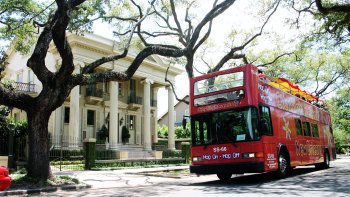 New Orleans Shore Excursion: Hop-On Hop-Off Bus Tour