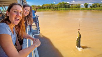 Half-Day Crocodile & Nature Explorer Tour