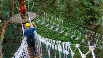 Kohala Canopy Zipline Adventure