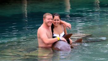 Shark Encounter with Stingray Snorkeling
