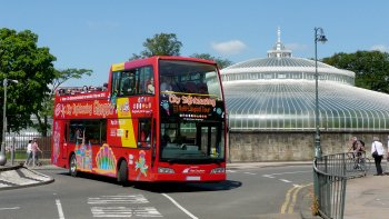 Shore Excursion: Hop-On Hop-Off Bus Tour