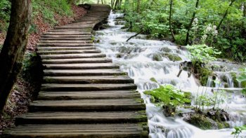 Full-Day Trip to Plitvice Lakes National Park