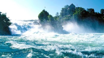 Black Forest, Lake Titisee & Rhine Falls Excursion