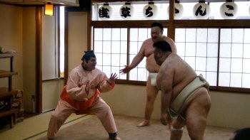 Sumo Demonstration & Chankonabe Hotpot Lunch
