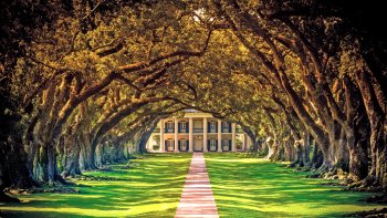 Full-Day Oak Alley Plantation & City Tour