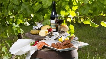 Bruny Island Gourmet Food & Wine Day Tour