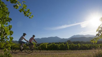 4-Day Self-Guided Winery Cycling Tour from Beechworth to Bright Farm