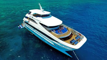 Full-Day Outer Reef Cruise & Snorkelling Tour