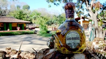 Canopy Tour & Mezcal Tasting