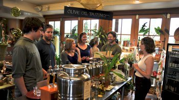 Small Group Willamette Valley Wine & Waterfalls