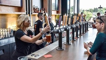 Craft Brewery Tour with Dinner