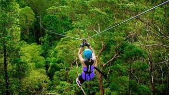 Admission to TreeTop Challenge Canyon Flyer Zip line Tour