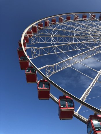 HK Observation Wheel, Temple Street Market & Dinner Cruise
