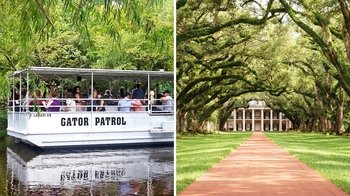 Manchac Swamp & Laura or Oak Alley Plantation Combo Tour