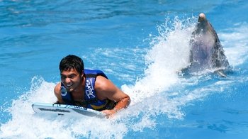Small-Group Dolphin Swim at Aquaventuras Water Park