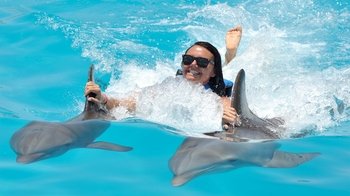 ,Nadar con delfines