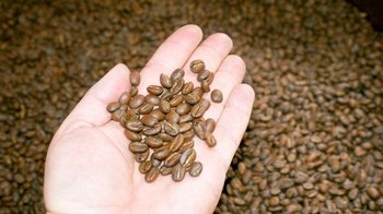 Coffee Tasting Tour with Lunch