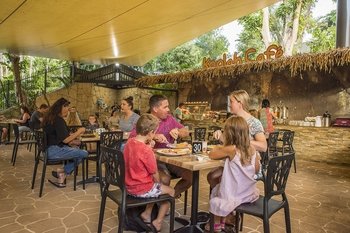 WILD LIFE Hamilton Island Admission with Koala Breakfast