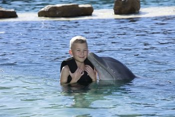Dolphin Swim Experience