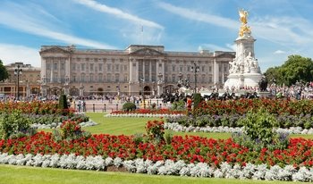 Admission to Buckingham Palace & Royal Walking Tour
