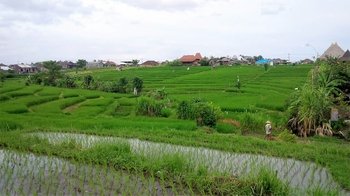 Hidden Rice Terraces Small-Group Trek