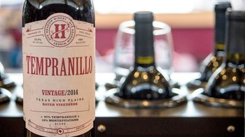 Small-Group Winetasting Tour to 5 Estates with Lunch