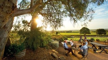 Barossa Valley Hop-On Hop-Off Winery Tour