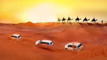 Excursion Premium : Dunes rouges, balade à dos de chameau et barbecue au ca...