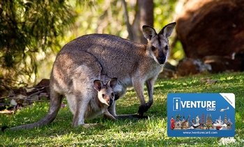 Australia Multi-City Flexi Attractions Pass