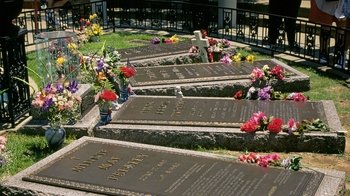 VIP Graceland Tour with Roundtrip Transportation