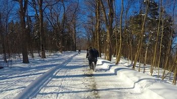 Balade en vélo électrique avec gros pneus au mont Royal
