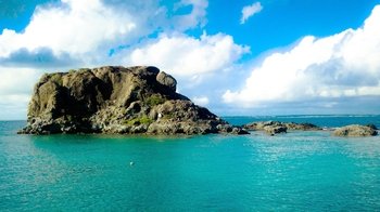 Small-Group St. Martin Nature Reserve Cruise with Open Bar