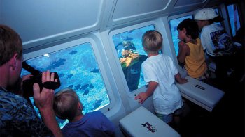 Glass-Bottom Boat Reef Exploration Tour