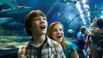 Aquatica San Diego & SeaWorld San Diego 2-Park Length-of-Stay Ticket