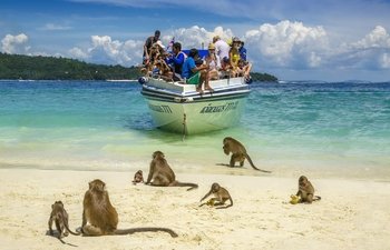 Early Riser Phi Phi Island with Maya Bay Snorkelling Tour