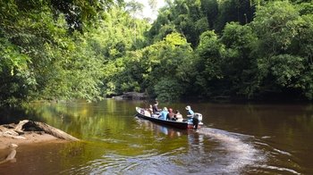 Full-Day Excursion to Taman Negara National Park