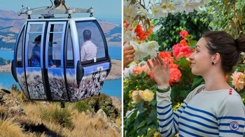 Ultimate Pass: Tram, Gondola, Punting & Botanic Gardens