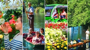 Combo Pass: Punting on the Avon & Botanic Gardens Tour