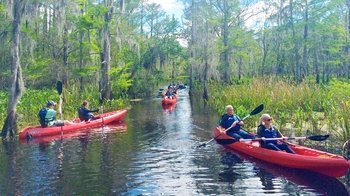 Manchac Swamp Kayaking Tour